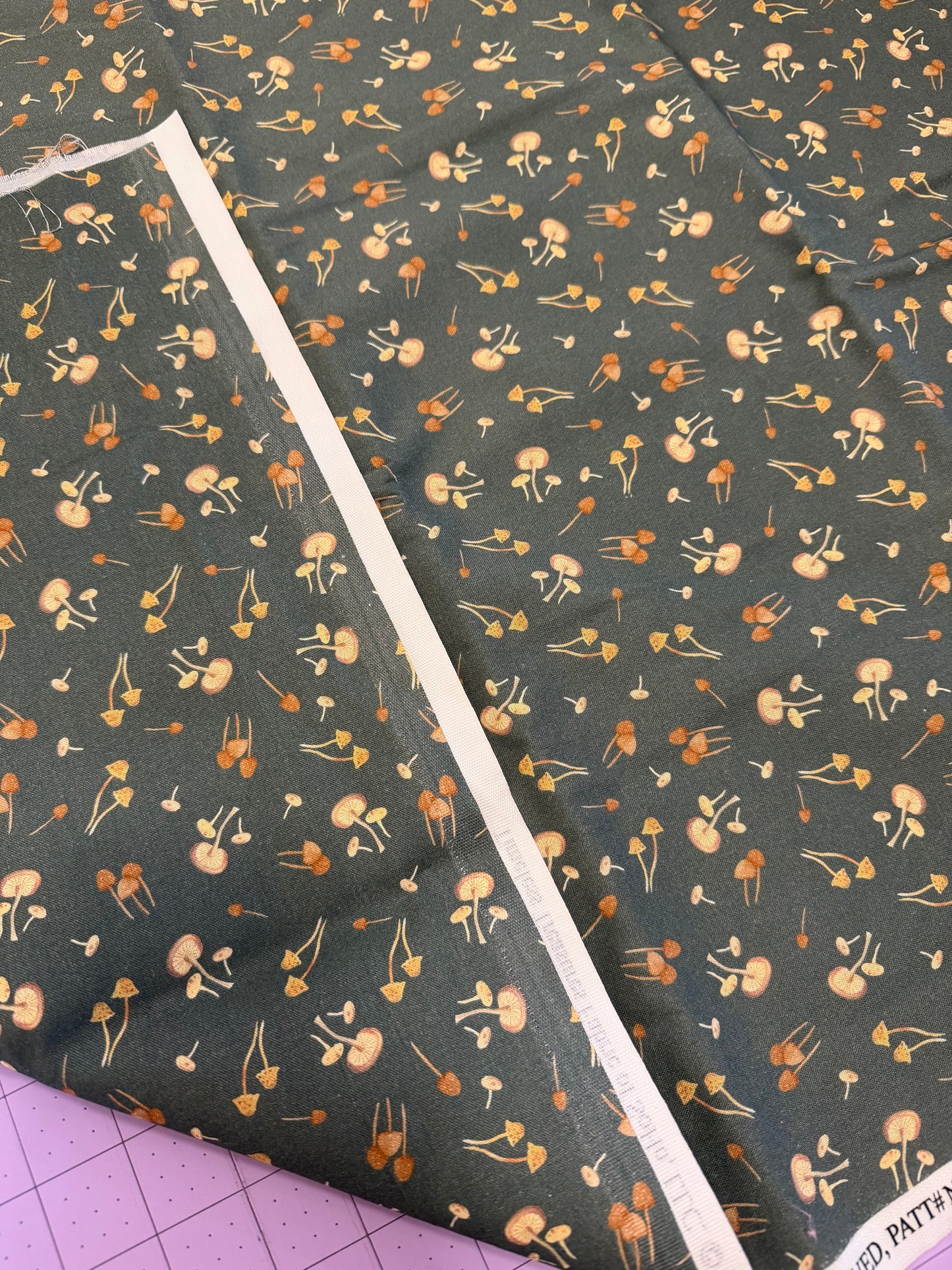 Mushrooms | Timeless Treasures | per ¼ yard