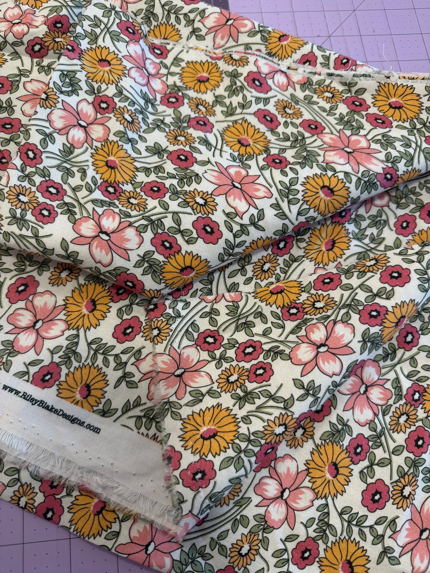 Prairie by Lori Holt | Riley Blake Designs| 108" Wideback | per ¼ yard