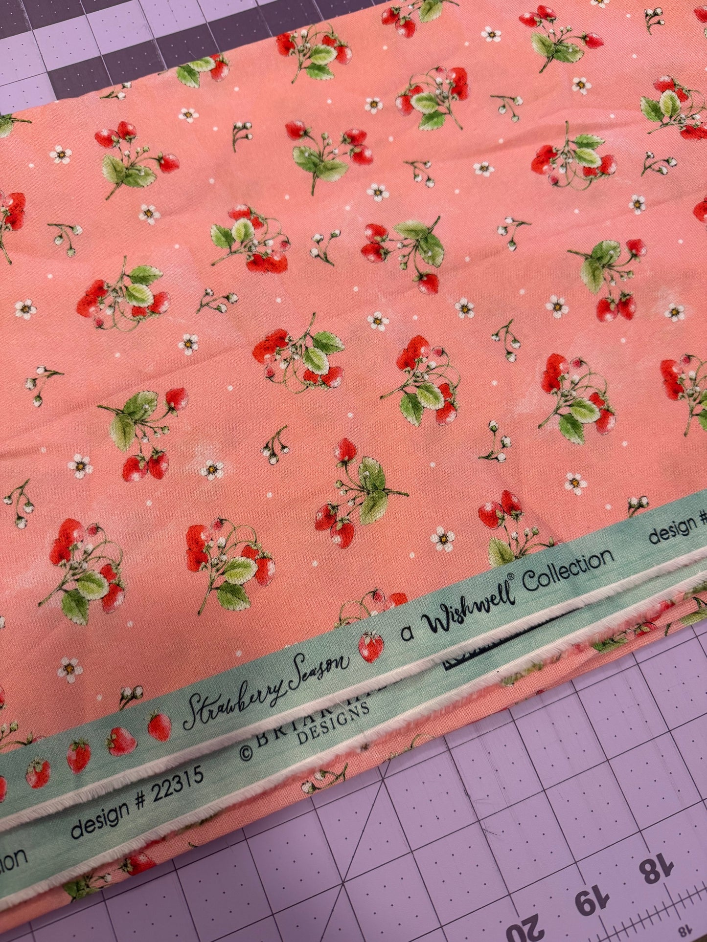 Strawberry Season | A Wishwell Collection | Robert Kaufman | per ¼ yard