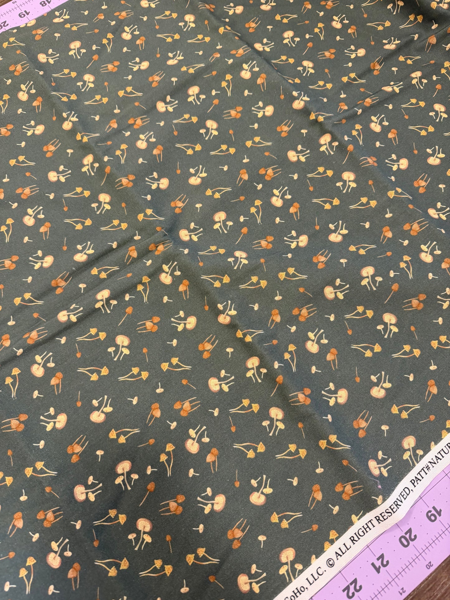 Mushrooms | Timeless Treasures | per ¼ yard