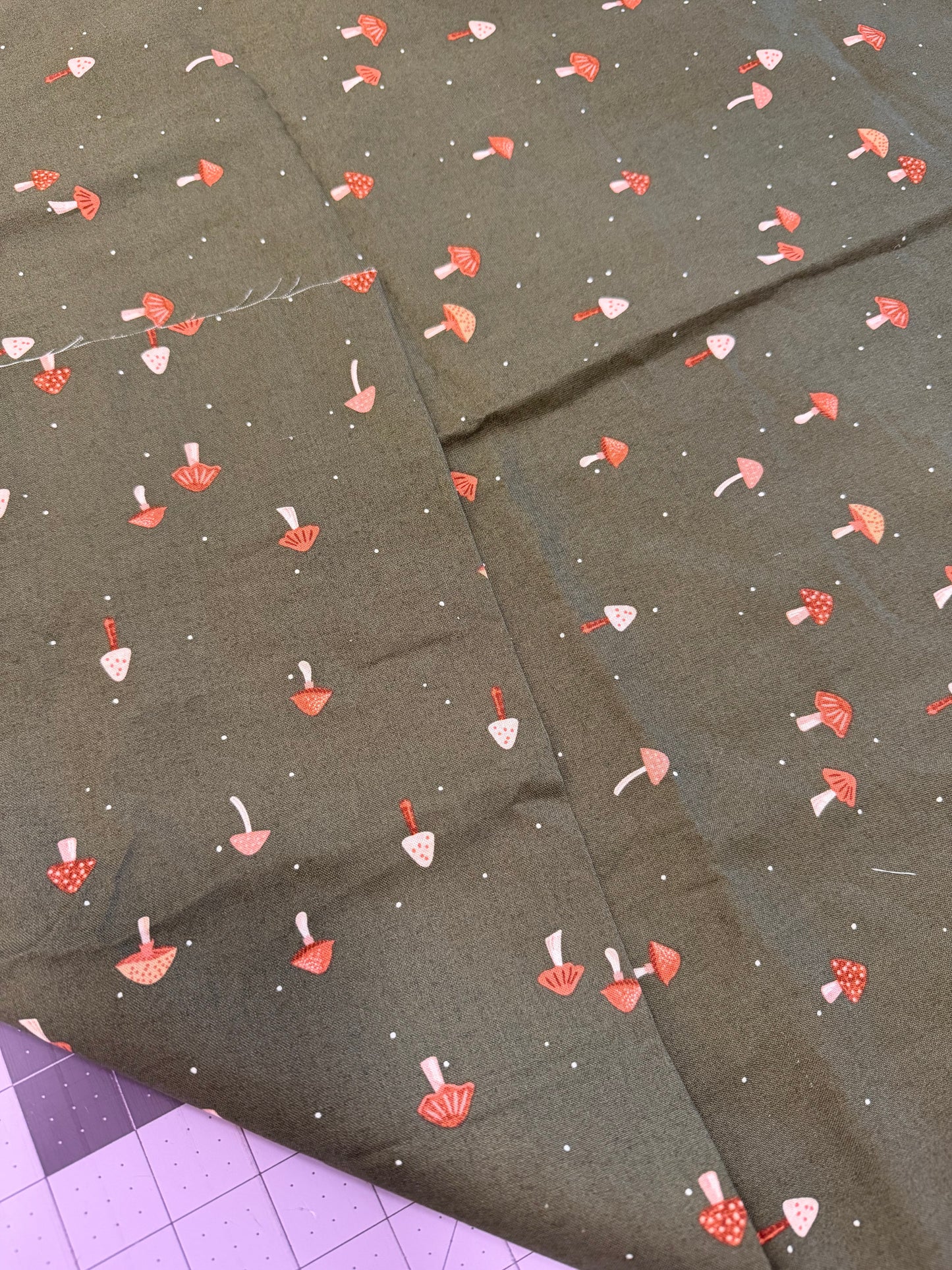 Mushrooms | Brother Sister Design Studio| per ¼ yard