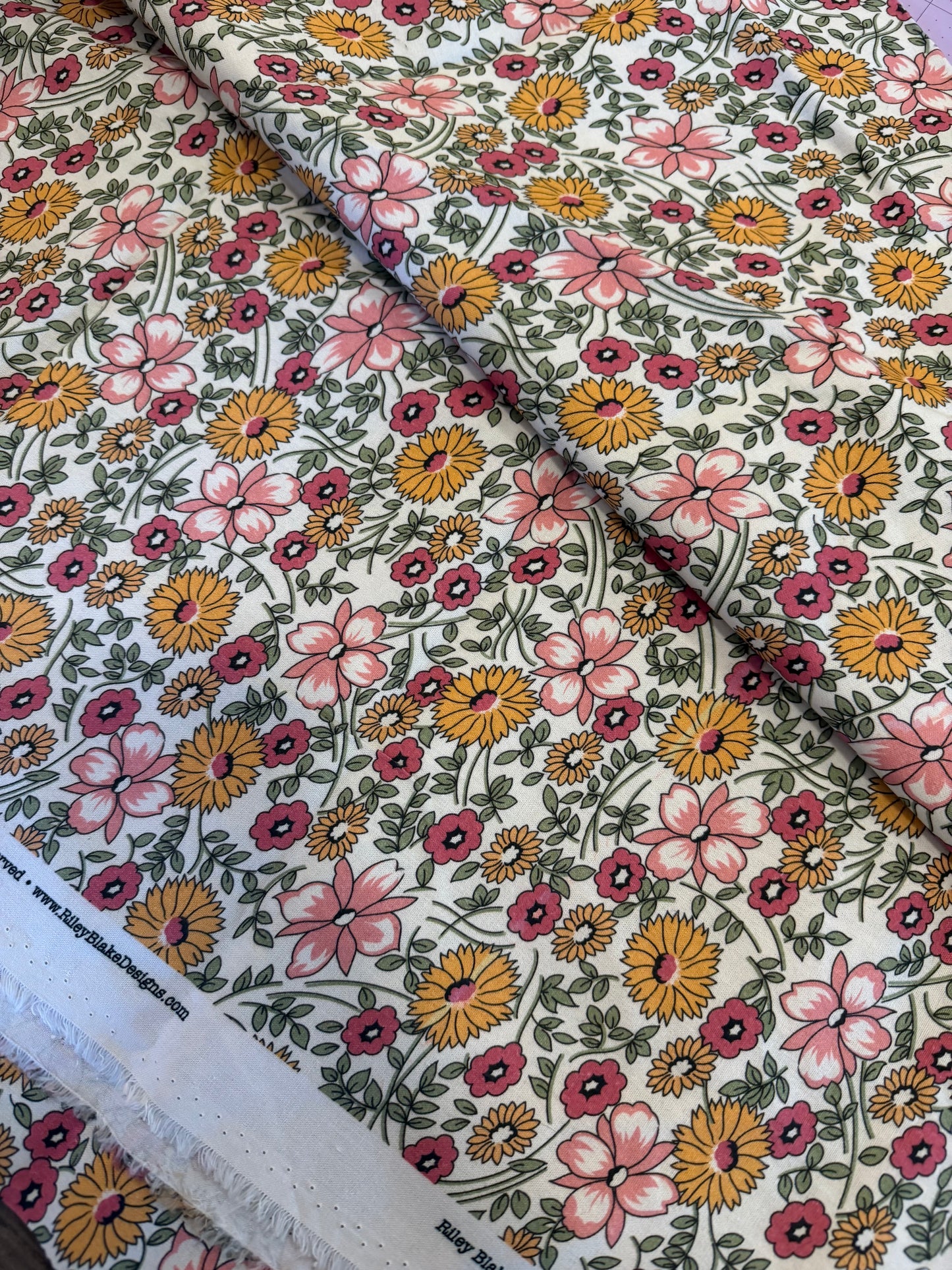 Prairie by Lori Holt | Riley Blake Designs| 108" Wideback | per ¼ yard