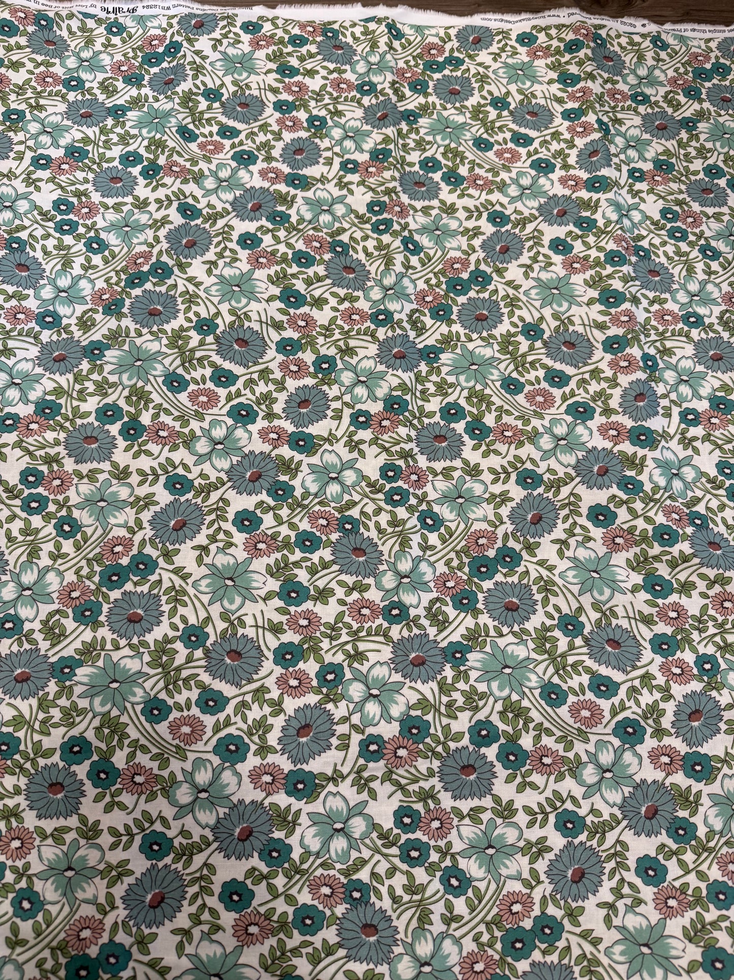 Prairie by Lori Holt | Riley Blake Designs| 108" Wideback | per ¼ yard