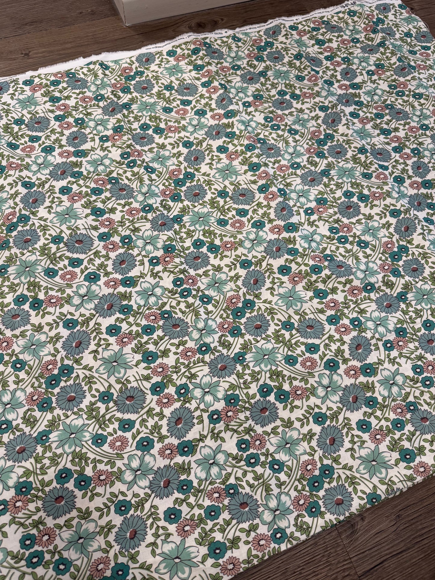Prairie by Lori Holt | Riley Blake Designs| 108" Wideback | per ¼ yard
