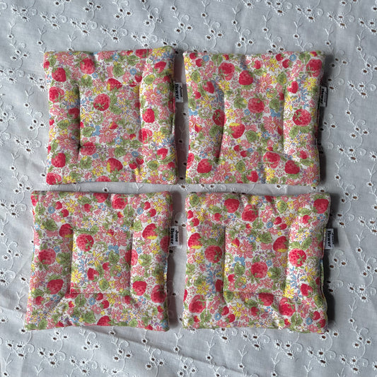 Coaster | Strawberry Season